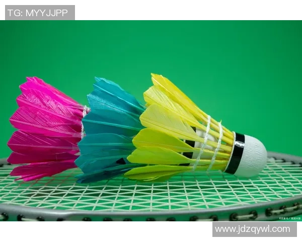 李芳独家分享羽毛球技巧与心得助你提升竞技水平和享受运动乐趣