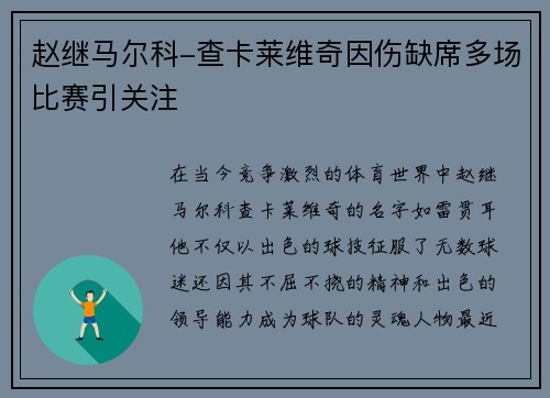 赵继马尔科-查卡莱维奇因伤缺席多场比赛引关注