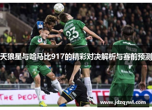 天狼星与哈马比917的精彩对决解析与赛前预测