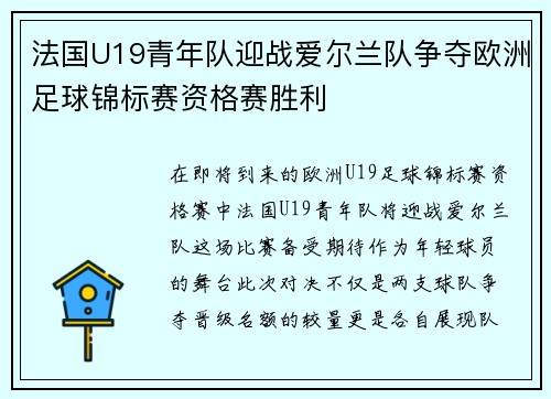 法国U19青年队迎战爱尔兰队争夺欧洲足球锦标赛资格赛胜利